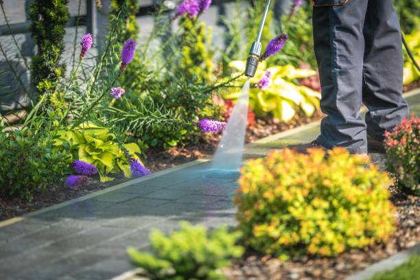Best Parking Lot and Garage Cleaning  in Paradise, NV